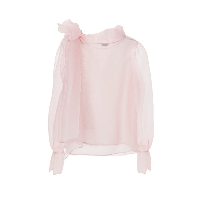 Sheer Pink Organza Silk Blouse image