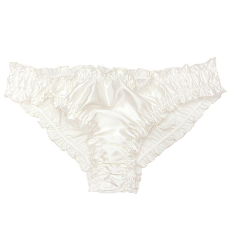 Pamela Silk Briefs In White image