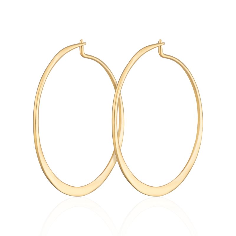 Gold Flat Hoop Earrings image