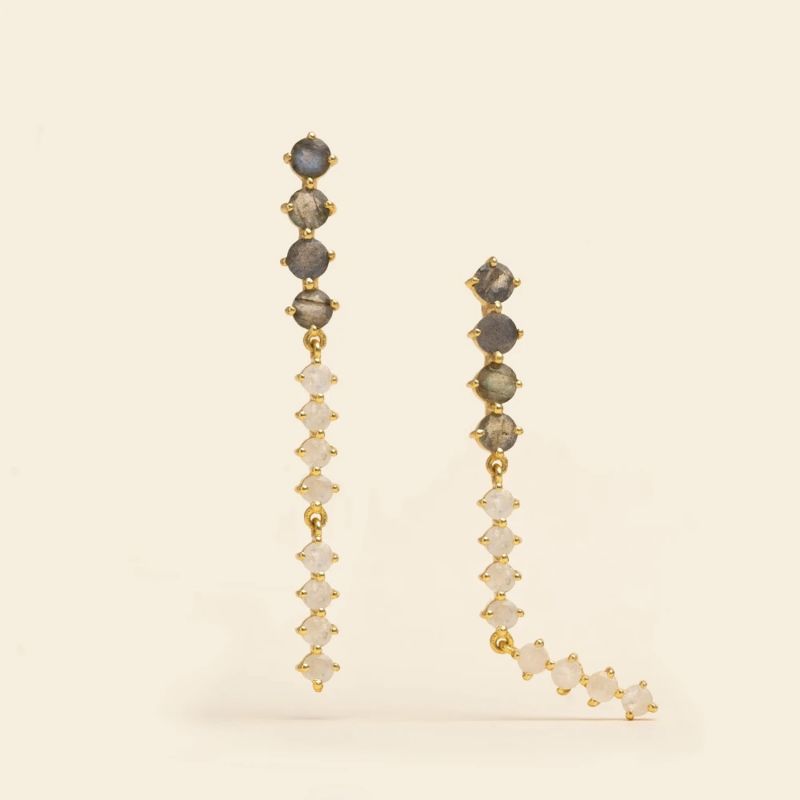 Long Nirelle Party Earrings image