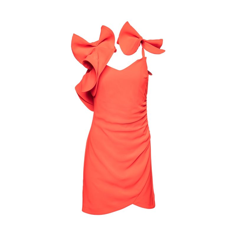 Elanor Neon Rouge Dress image