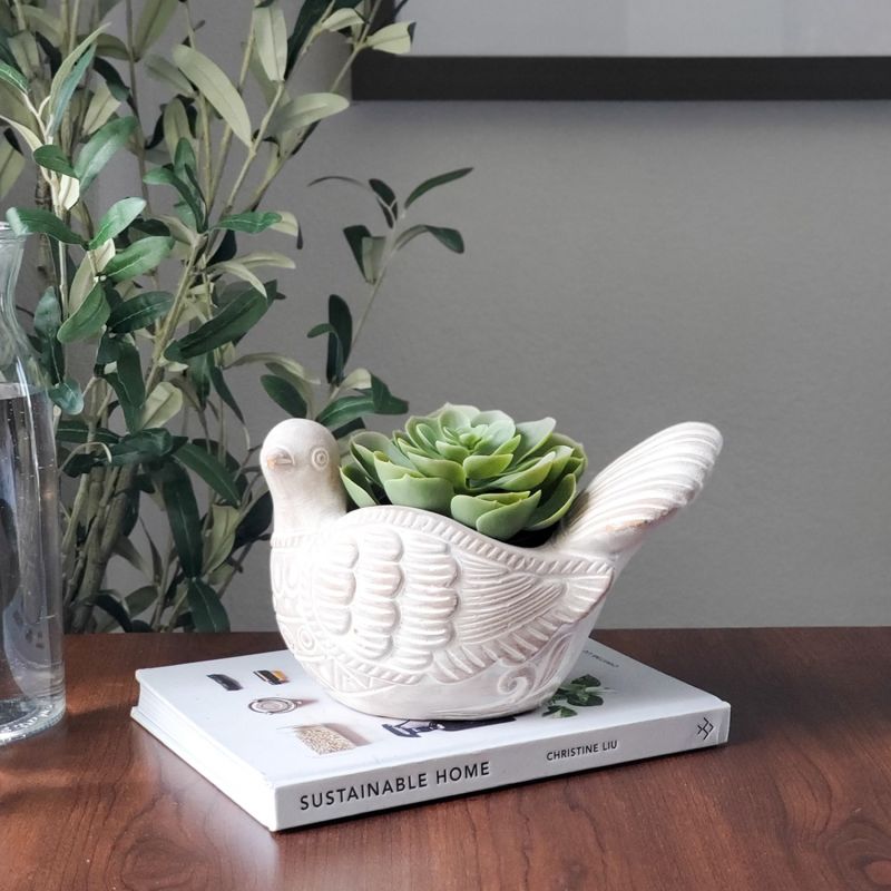 Terracotta Pot - Turtle Dove image