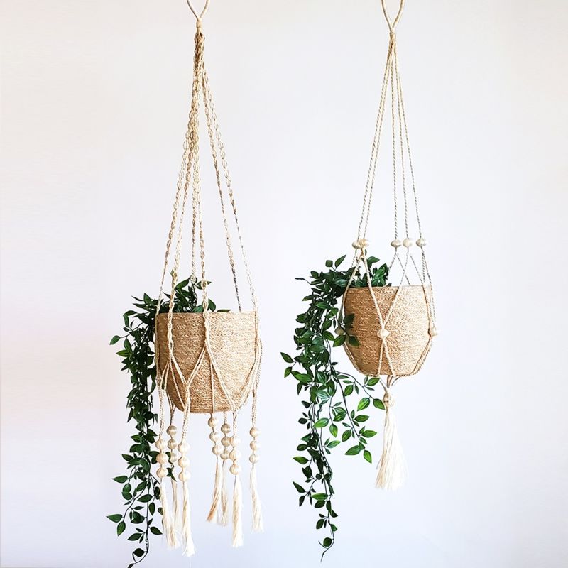 Plant Hanger - Fiora Set Of 2 image