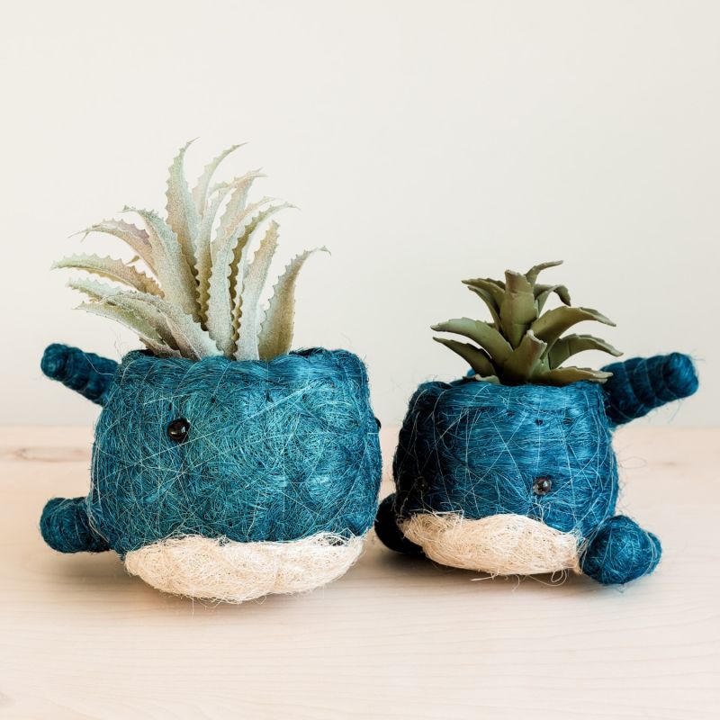 Coco Coir Animal Planter Baby Whale image