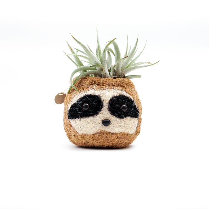 Coco Coir Animal Planter Mini Pot 3-Tone Sloth Dark image