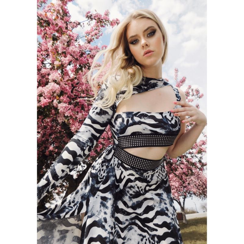 Zebra Print Maxi Cut-Out Dress image