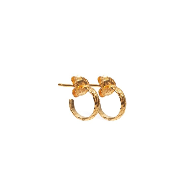 Medusa Gold Creole Earrings image