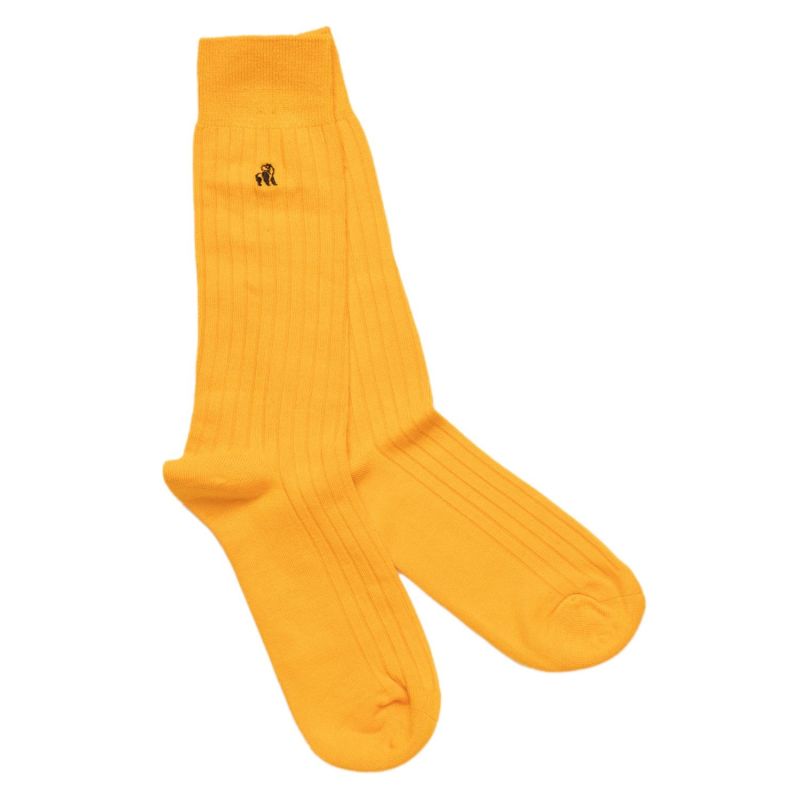 Cactus & Banana Bamboo Sock Bundle - Four Pairs image