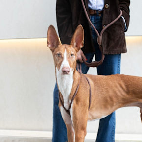 ZOË PET ATELIER designer page