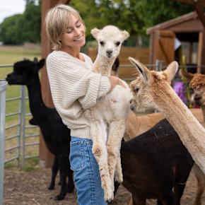 Alpaca Apparel designer page