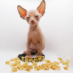 Nuggets & Karats designer page