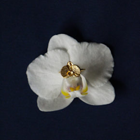 ALEGORIA JEWELLERY designer page