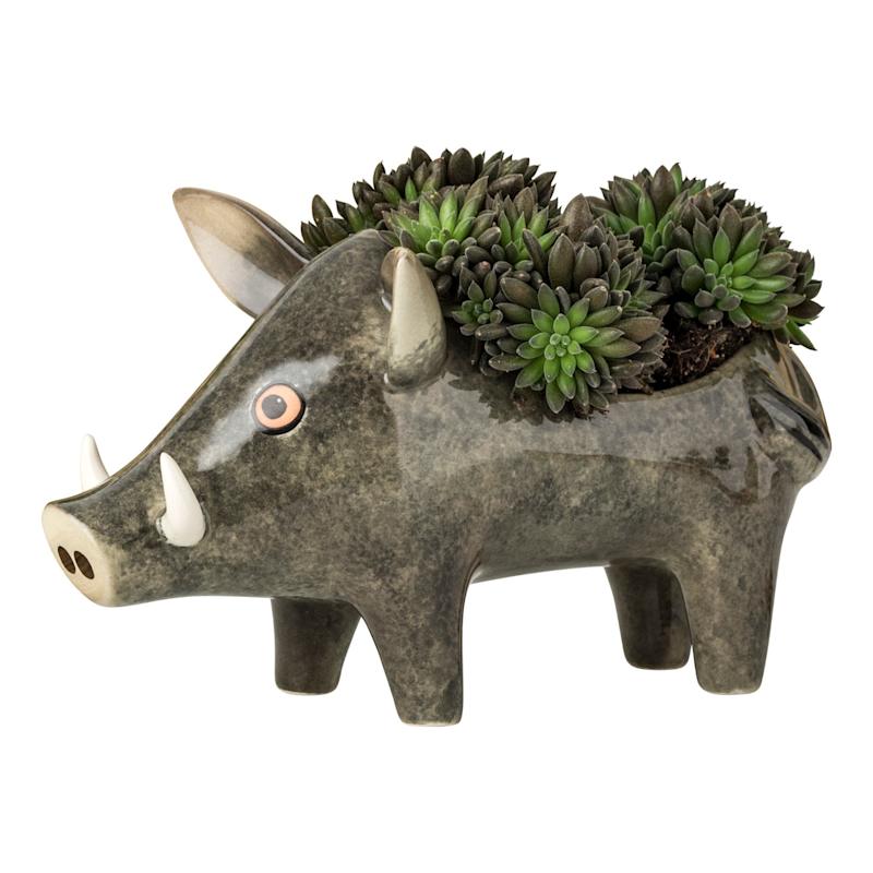 Thumbnail of Wild Boar Planter image