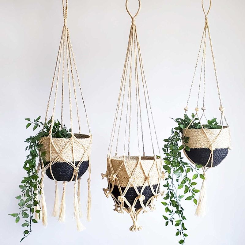Thumbnail of Plant Hanger - Shuly image