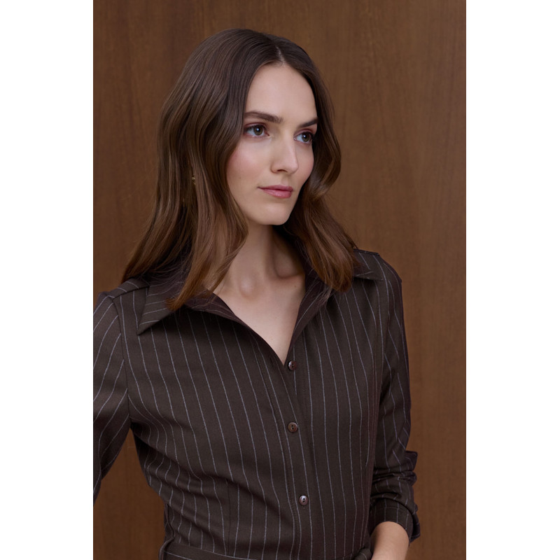 Thumbnail of Anouk Brown Striped Godet Shirt Dress image
