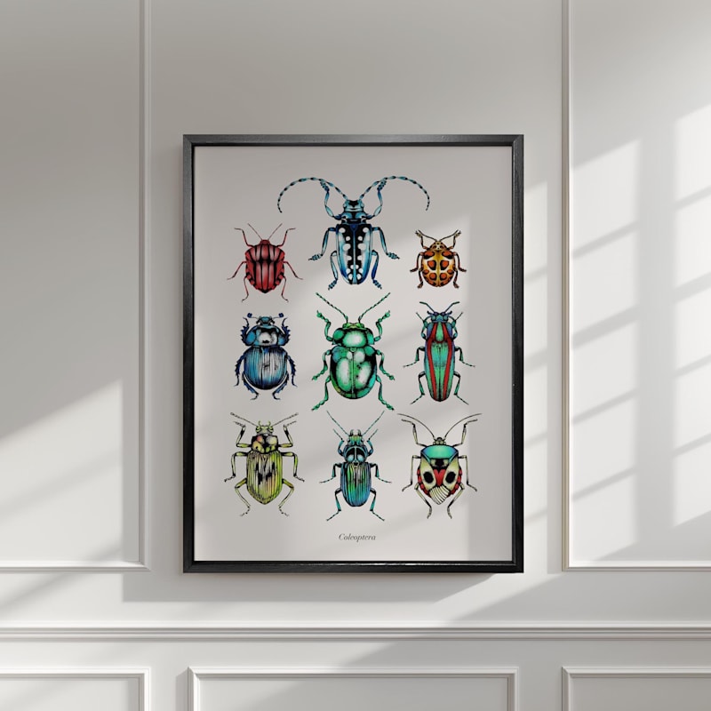 Thumbnail of 'Antique Tropical Beetles' Fine Art Print A5 image