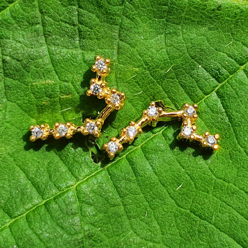 Thumbnail of Aquarius Star Sign Constellation Astrology Earrings image