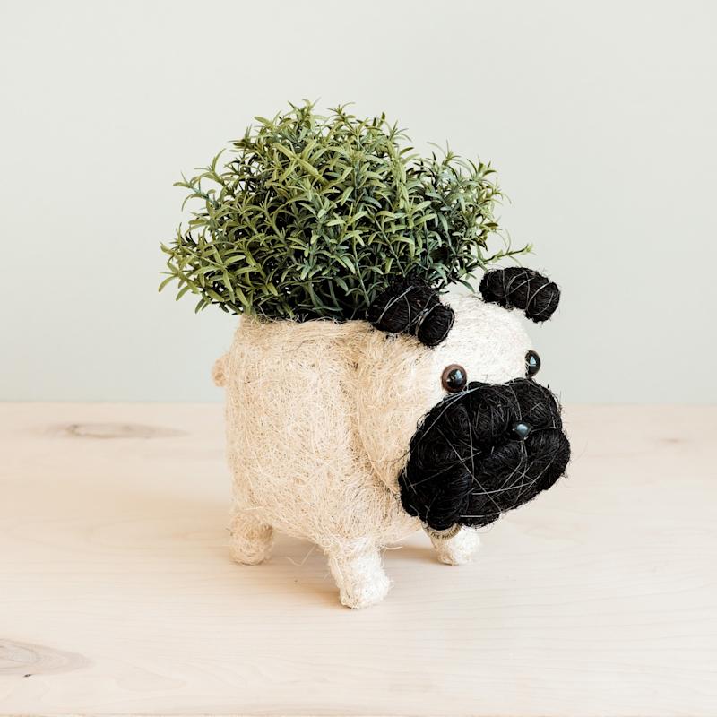 Thumbnail of Coco Coir Animal Planter Pug image