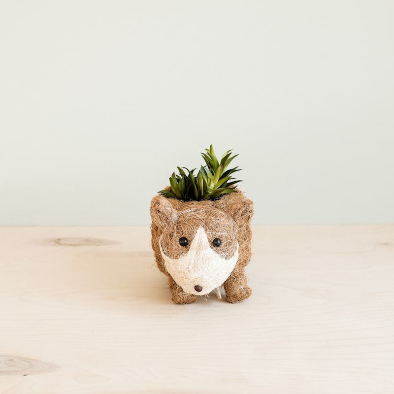 Thumbnail of Baby Corgi Animal Planter - Eco-Friendly Animal Pot image