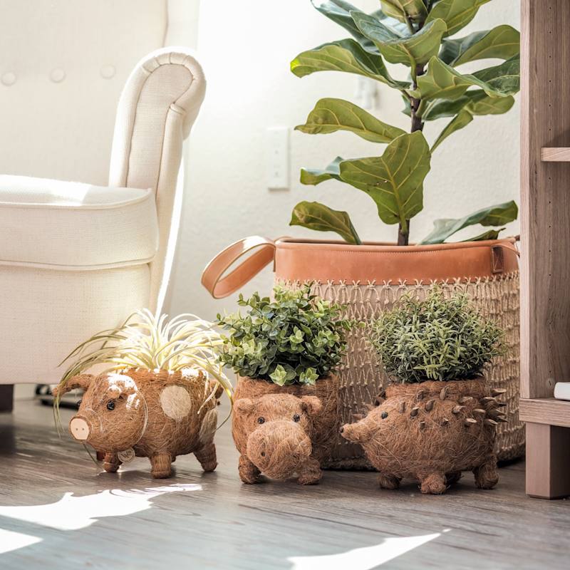 Thumbnail of Baby Country Pig Animal Planter - Natural Coco Coir Mini Indoor Pot image