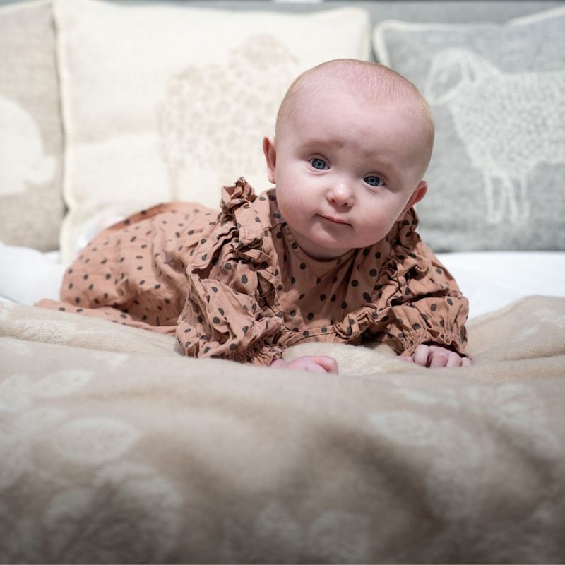 Thumbnail of Beige Roses Pure Merino Wool Throw image