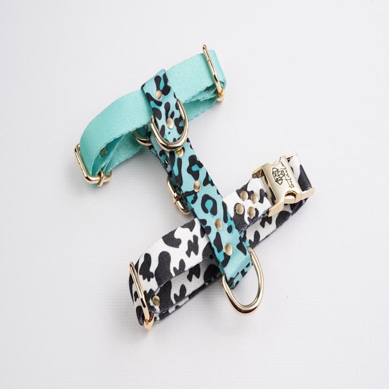 Thumbnail of Blue Leo Leopard Print Dog Harness image