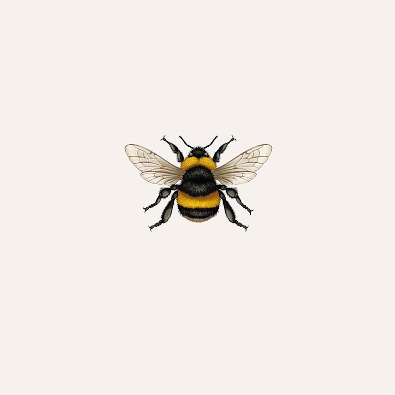 Thumbnail of British Bumble Bee Fine Art Print M image