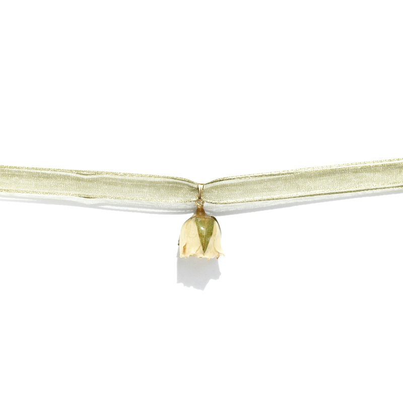 Real Flower Rosa Blanca Cream Rosebud Ribbon Choker Necklace