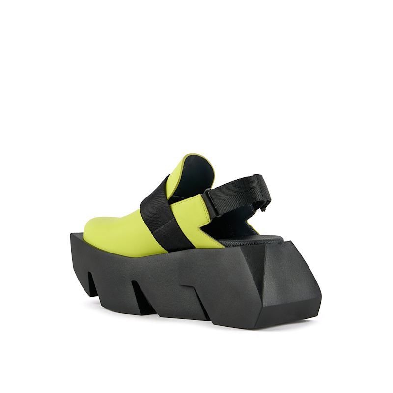Thumbnail of Bull Mule - Caution image