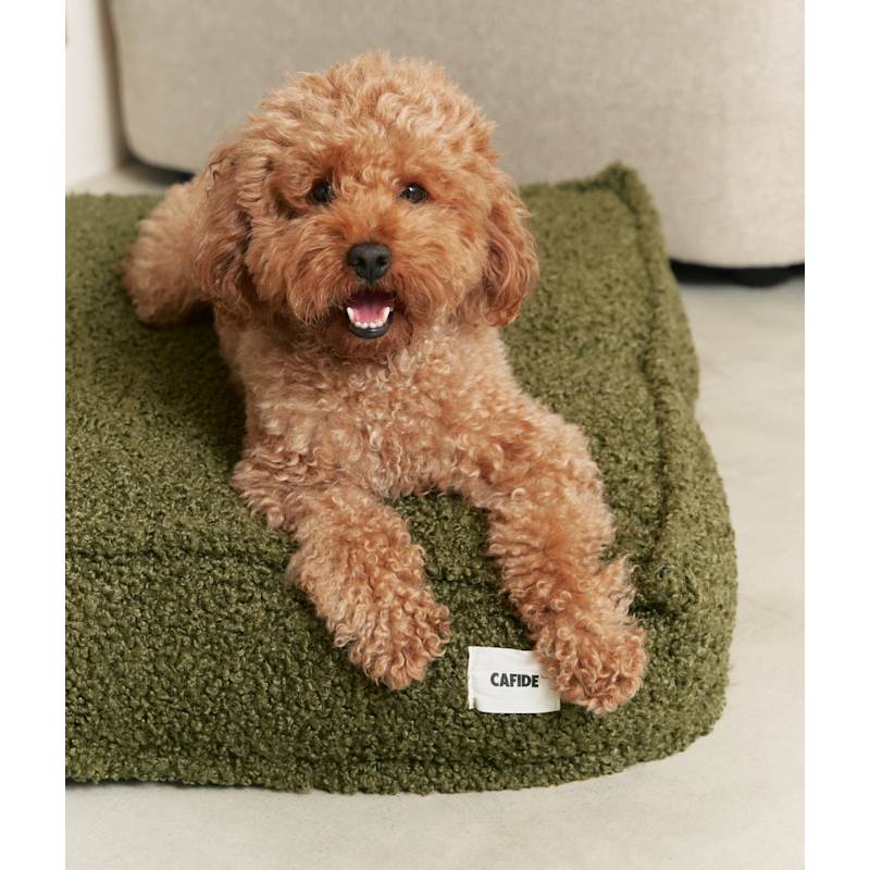 Thumbnail of Green Fleece Dog Bed, Cuadra image