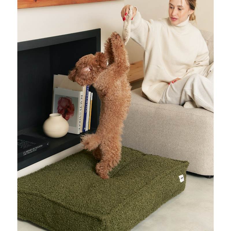 Thumbnail of Green Fleece Dog Bed, Cuadra image