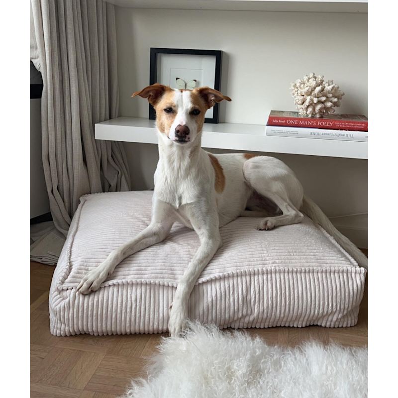 Thumbnail of White Corduroy Dog Bed, Cuadra image