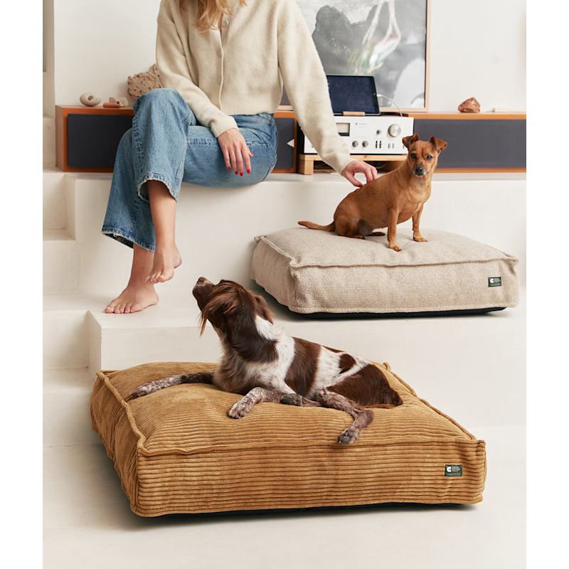 Mustard Corduroy Dog Bed, Cuadra by CAFIDE
