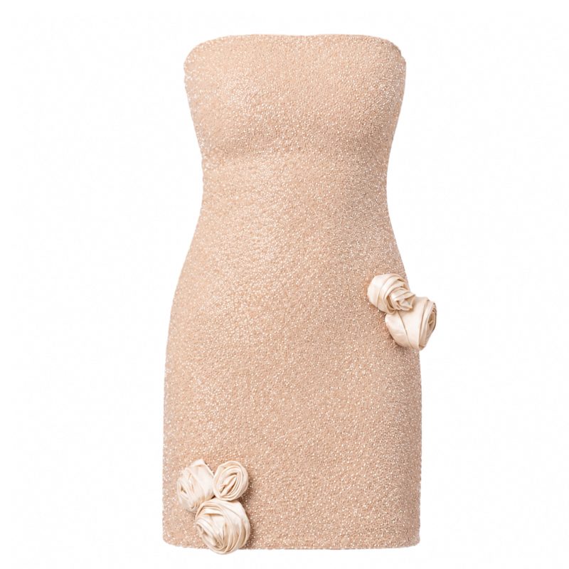 Thumbnail of Champagne Rose Hand-Beaded Embellished Mini Dress image