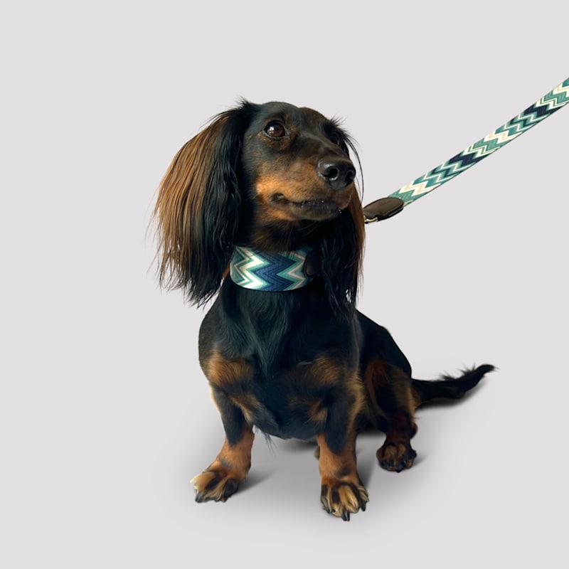 Thumbnail of Chevron Dog Collar Azure image