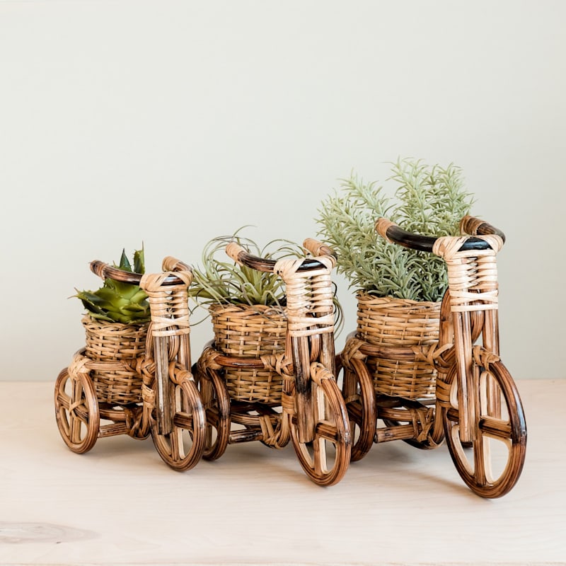 Thumbnail of Rattan Bike Planter Medium image