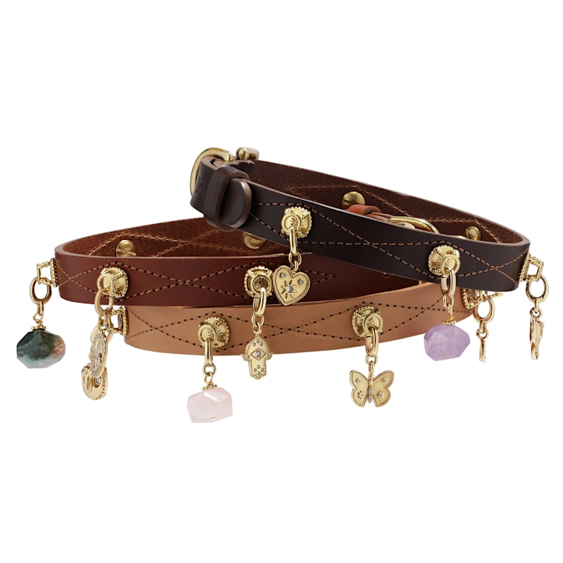 Thumbnail of Dog Collar Leather Cognac image