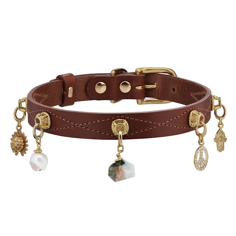 Thumbnail of Dog Collar Leather Cognac image