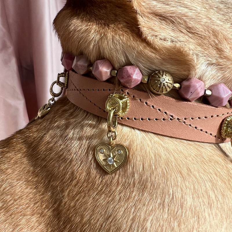 Thumbnail of Dog Collar Leather Natural image