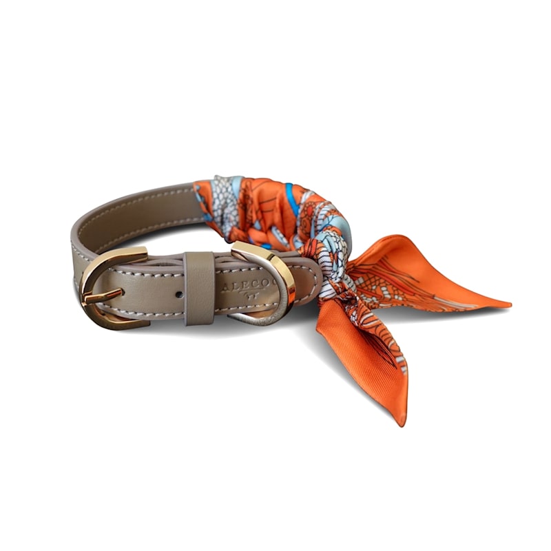 Thumbnail of Dog Collar Twilly Paris - Orange image