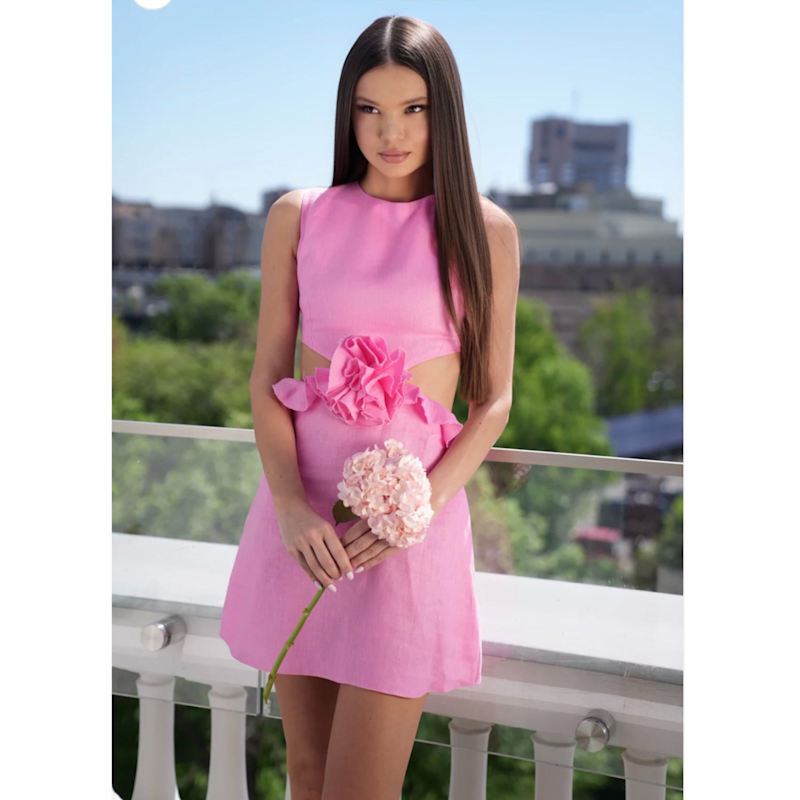 wolf and badger pink dress Women's Pink Dresses
