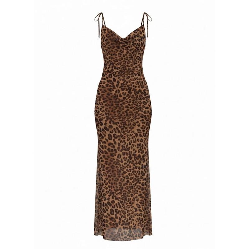 animal mesh dress Buy Whistles Brown Spotted Animal Mesh Dress from Next USA