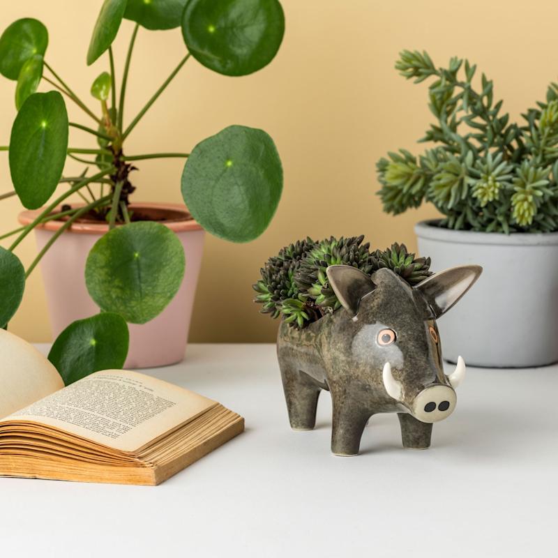 Thumbnail of Wild Boar Planter image
