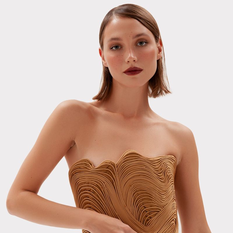 Thumbnail of Fingerprint Corset image
