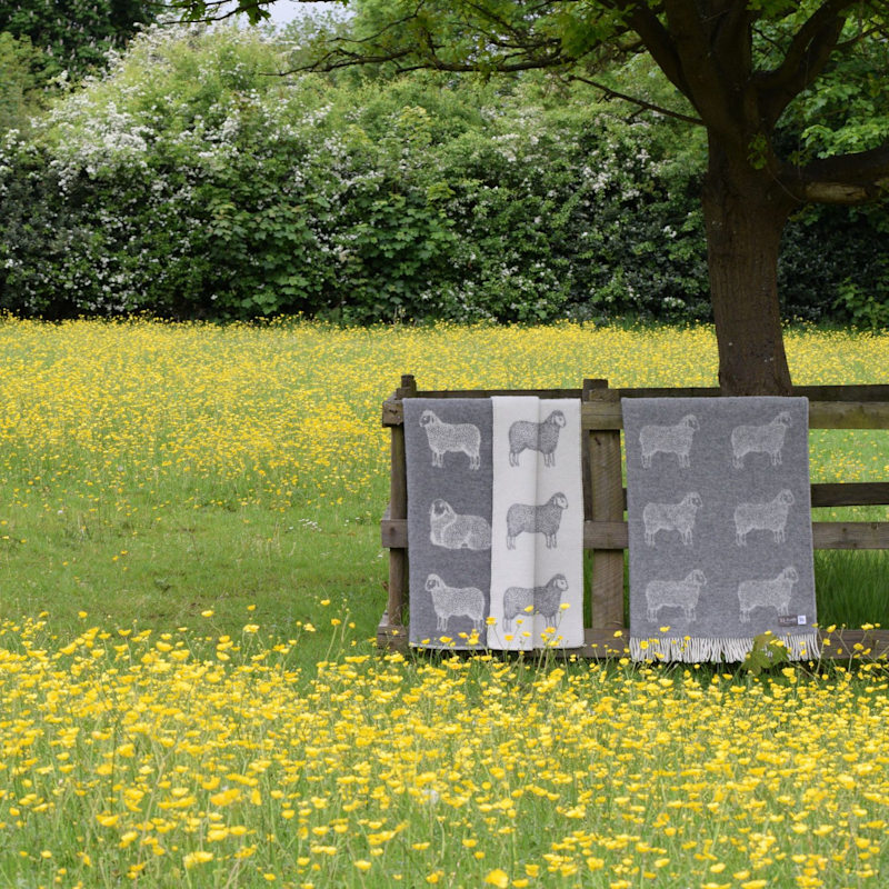 Thumbnail of Grey Sheep Wool Throw image