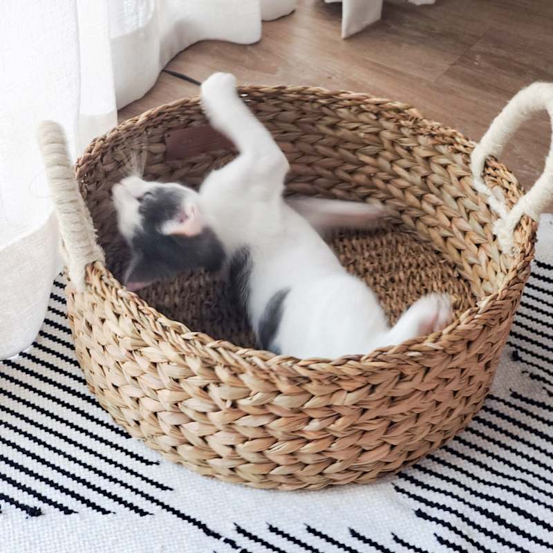 Thumbnail of Handwoven Savar Wicker Cat Basket Bed & Storage Basket image