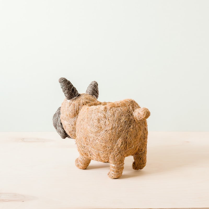 Thumbnail of French Bulldog Planter - Coco Coir Pots Likhâ image