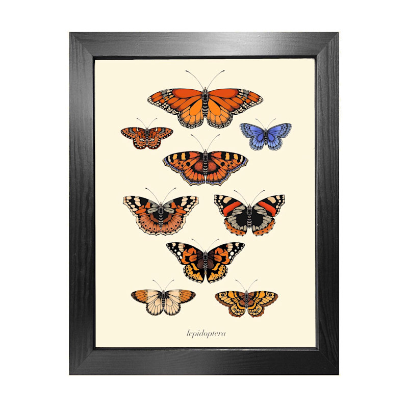 Thumbnail of 'Antique British Butterflies' Fine Art Print A5 image