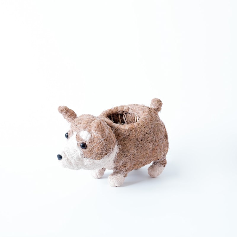 Thumbnail of Coco Coir Animal Planter - Corgi Version Two image