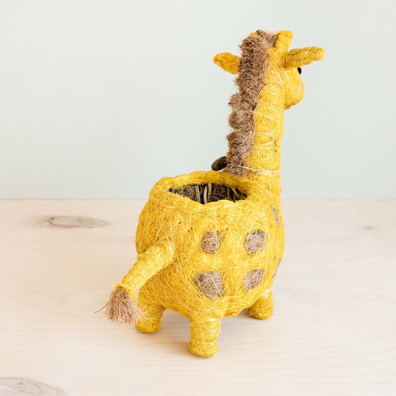 Thumbnail of Coco Coir Animal Planter Giraffe image
